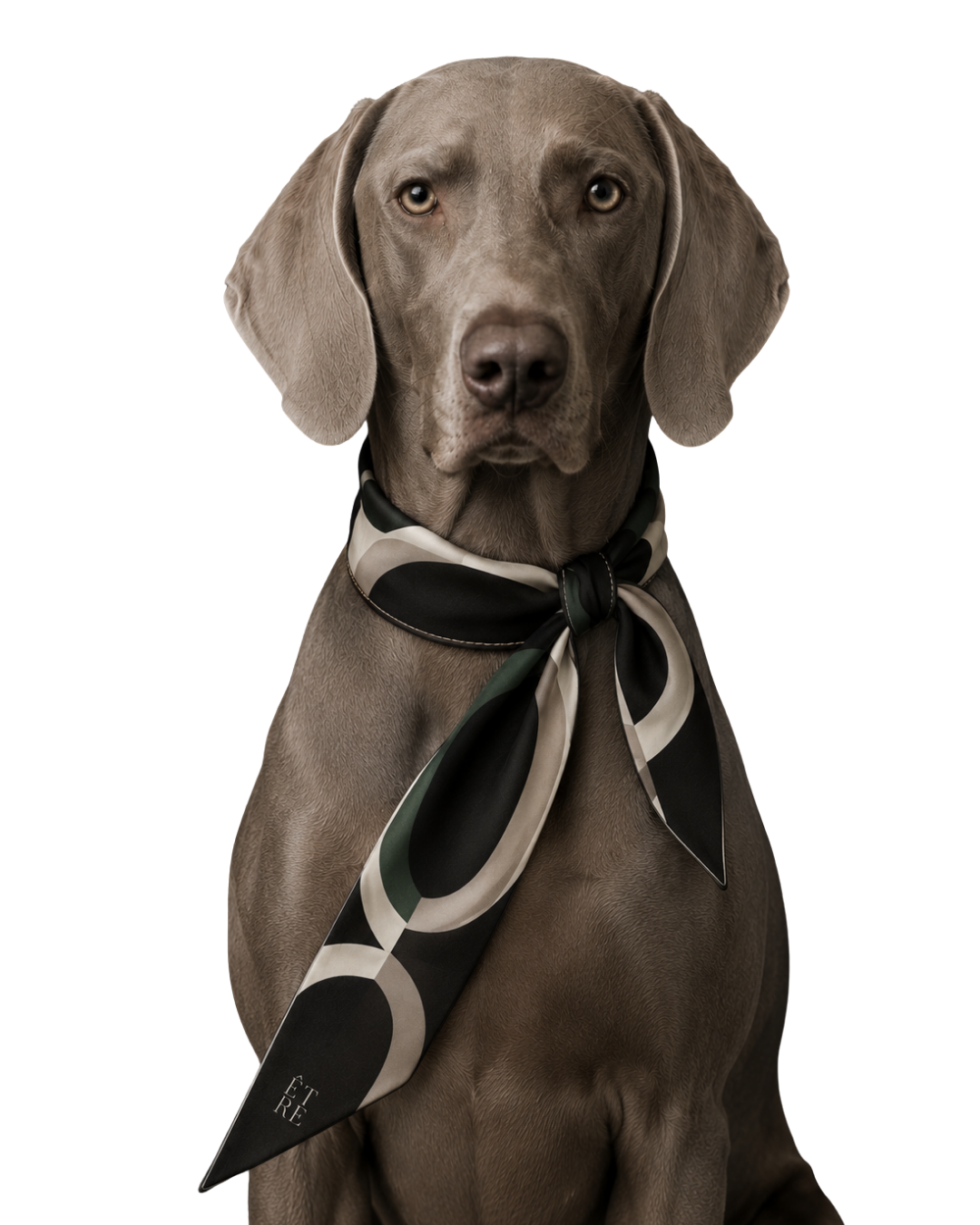 La Collection Cravat - Italian Silk Neckwear for Dogs | Être Canine
